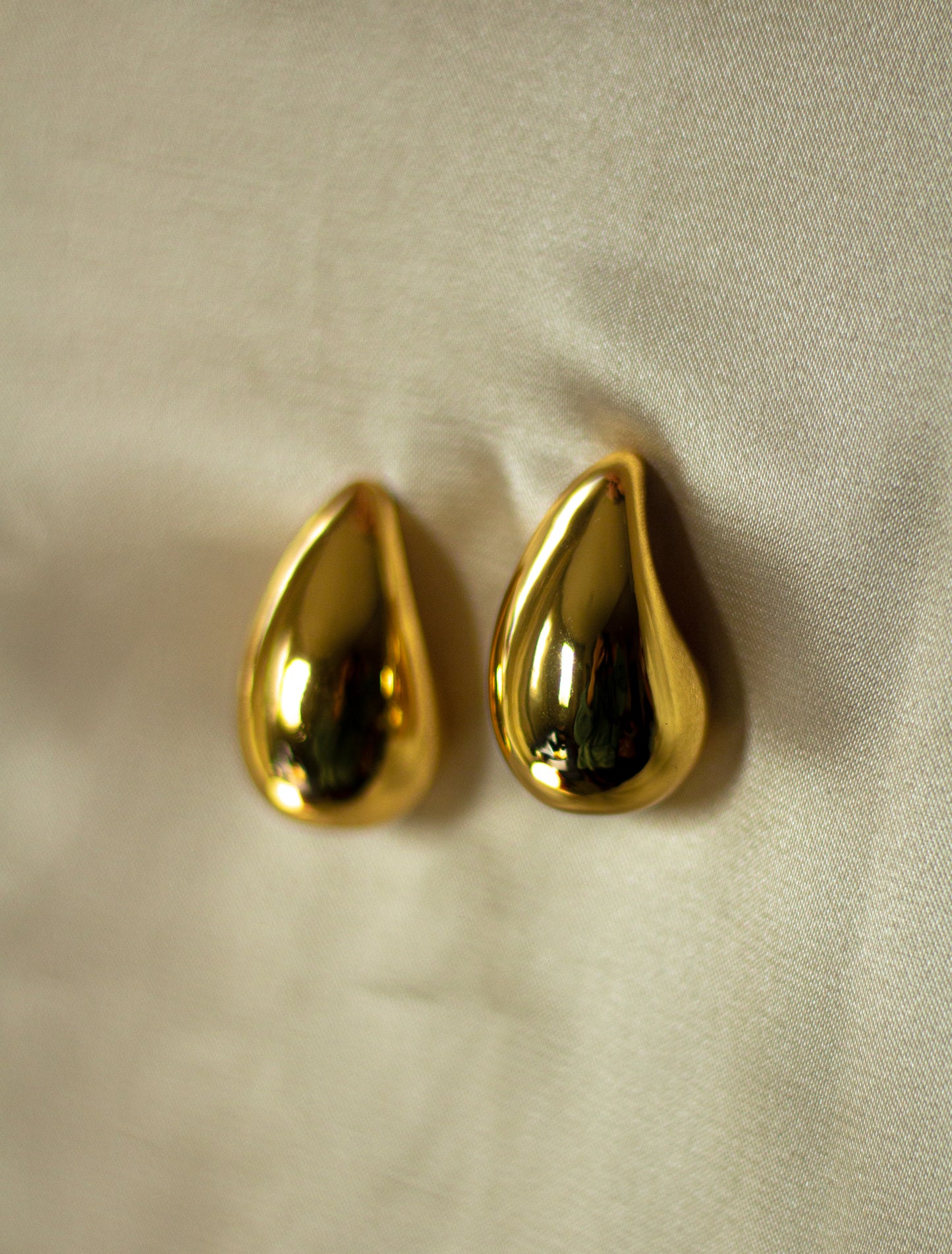 Bottega Earrings